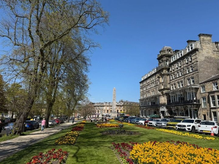 Harrogate gardens