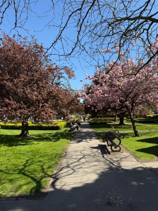 Montpellier Gardens, Harrogate